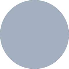 Forensic accounting services 7 Oval shape overlay