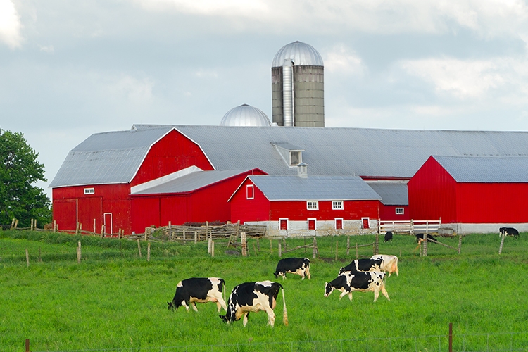 farm accidents Blog graphic