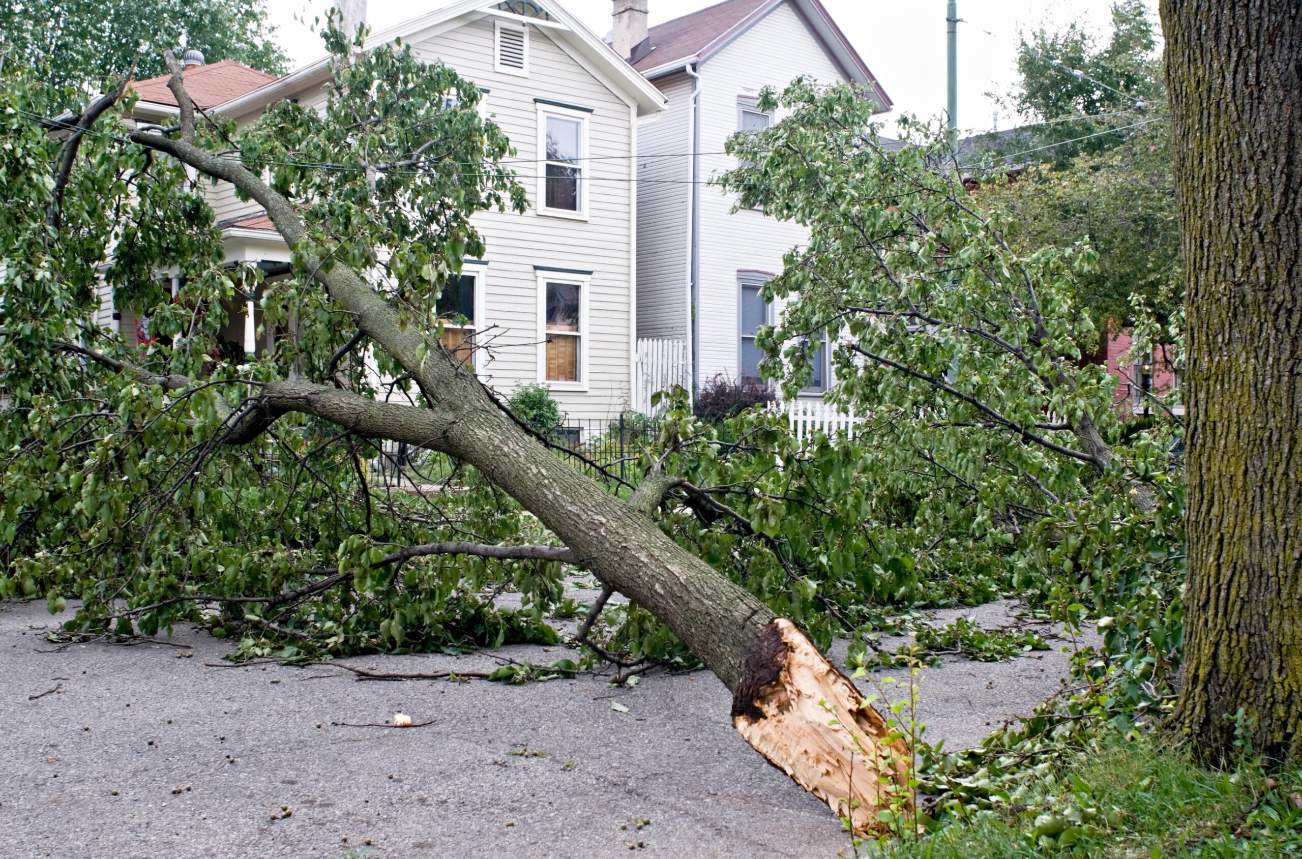 What you dont control may control you — expert perspectives on property damage claims resolution scaled 1