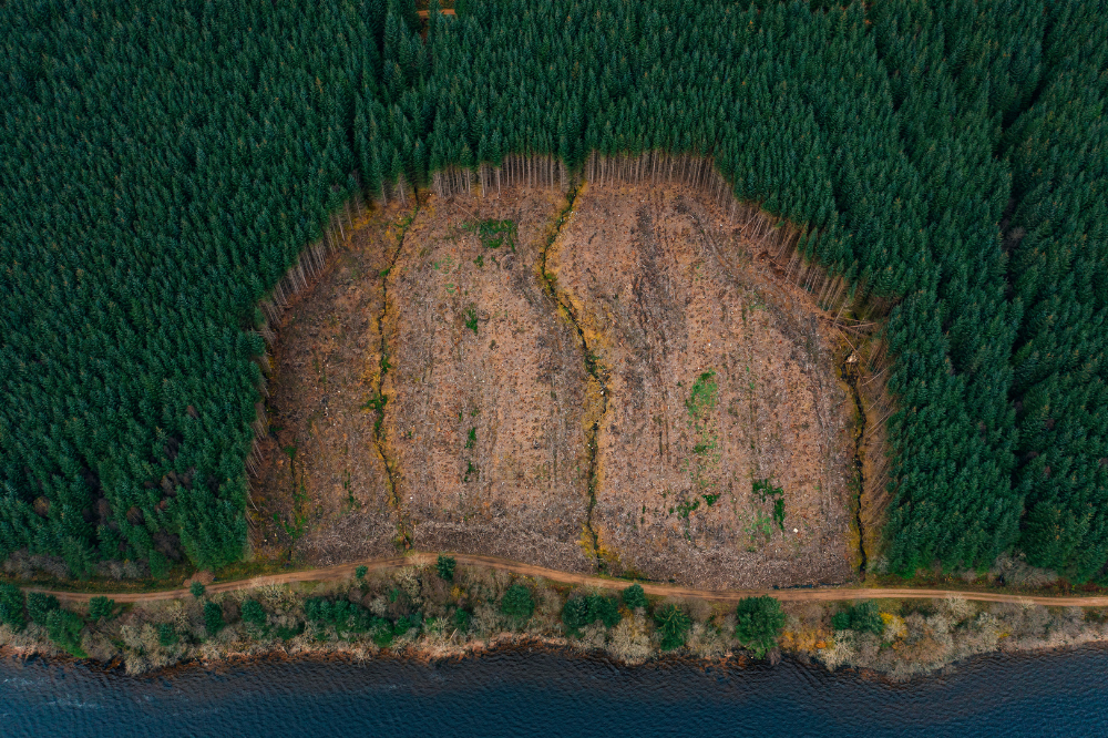 EU Deforestation Regulation likely delayed until 2025 8 EU Deforestation Regulation potentially delayed
