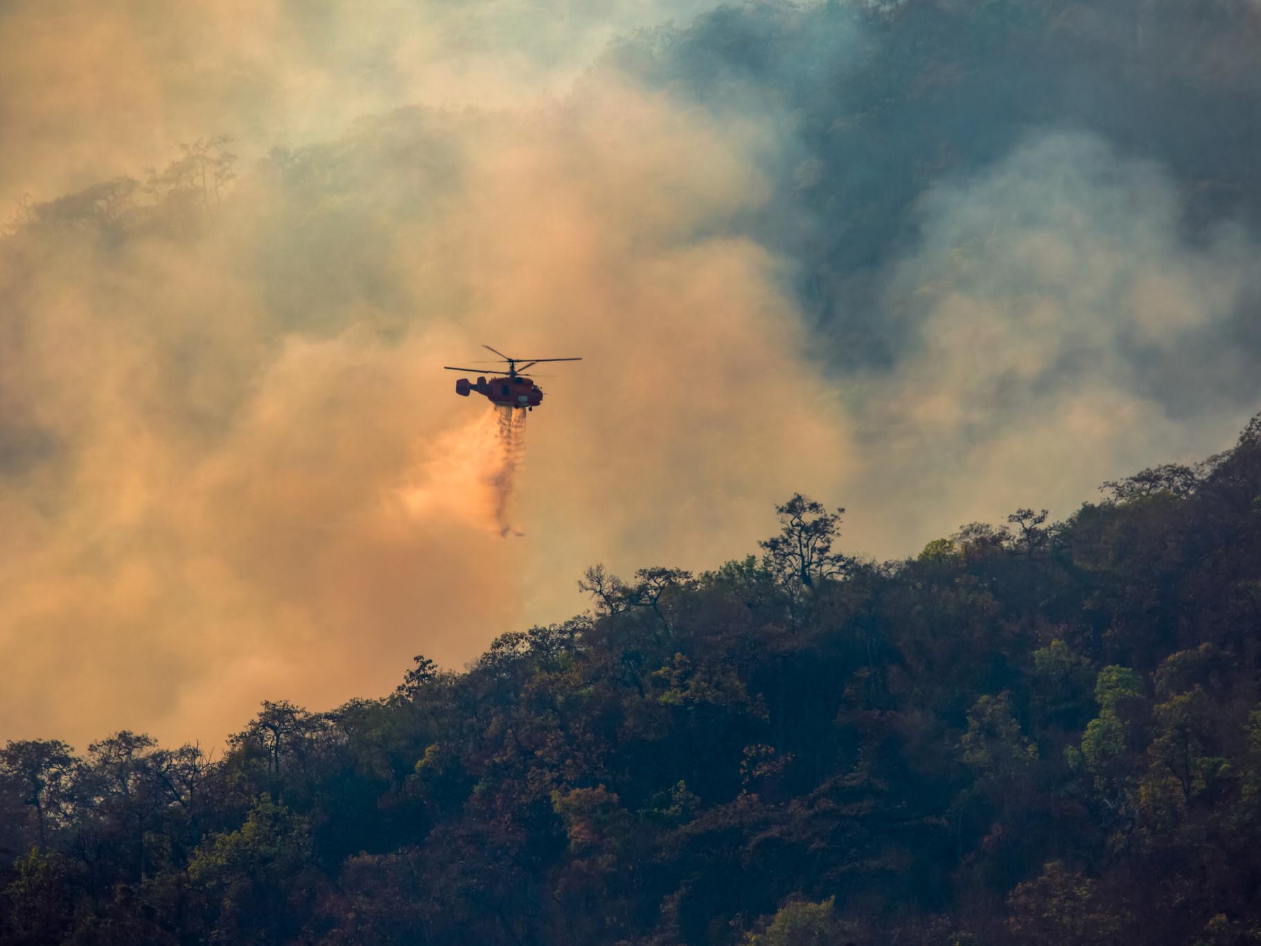 South Korea wildfire claims to 'pour in', Japan to see minimum insured losses 10 GettyImages 1417819171